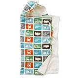 DwellStudio Baby Transportation Hooded Towel