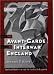The Avant-Garde in Interwar England: Medieval Modernism and the London Underground by Michael T. Saler