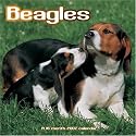Beagles 2007 Wall Calendar