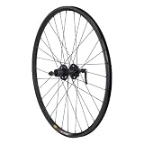 Avenir Shimano 32H QR DT Spokes Rear Wheel with 8/9 Speed Cassette Compatible Hub, Disc Brake Only (Black, 26-Inch x 23mm)