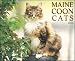 maine_coon1maine coon - Maine Coon Cats 2010 Wall Calendar