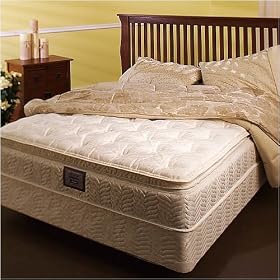 Softside Waterbed Mattress and Base - King by SHOPZEUS