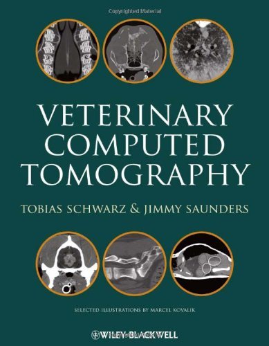 Veterinary Computed Tomography [Wiley-Blackwell,2011] [Hardcover]