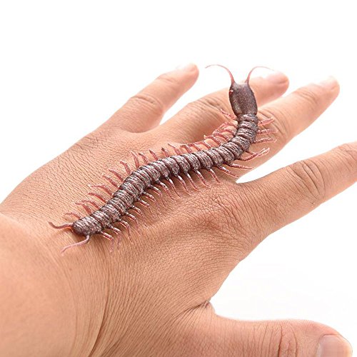 4pcs Halloween Haunted House Funny Prank Spoofing Toy Model Geek Gadget Simulation Fake Centipede for Party Tricky Funny Novelty Toys