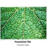 Environment Leaf Powerpoint Templates - Environment Leaf Powerpoint (PPT) Background - Environment Leaf for Slide Templates