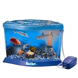 Shark Reef Aquarium