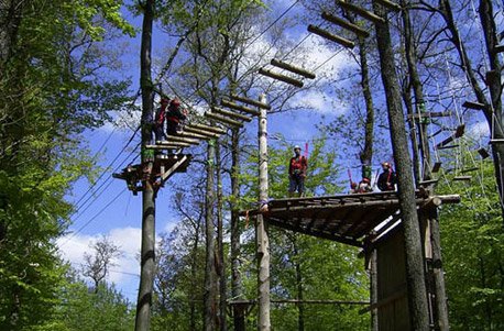 Produkt-Bild: Kletterparcours im Waldseilgarten f&uuml;r 2