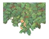York Wallcoverings Friends Forever JE3752B My Club House Pre-Pasted Wallpaper Border, Tree Top