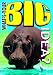 WHATS YOUR BIG IDEA POSTER