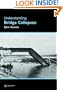 Understanding Bridge Collapses