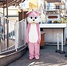 なくもんか(初回生産限定盤)(DVD付)