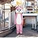 �Ȃ�����(���񐶎Y�����)(DVD�t)