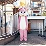 �Ȃ�����(���񐶎Y�����)(DVD�t)