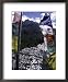 Mani Stone, Nepal Framed Art Poster Print by Michael Brown, 18x22