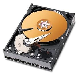Western Digital 80GB 7200RPM 8MB CACHE IDE Bulk/OEM Hard Drive WD800JB