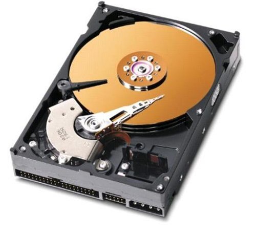 Western Digital 80GB 7200RPM 8MB CACHE IDE Bulk/OEM Hard Drive WD800JB