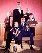 THE ADDAMS FAMILY 24x36 COLOR POSTER PRINT