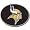 Minnesota Vikings