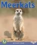 Meerkats (Early Bird Nature)