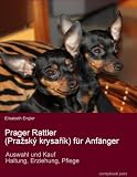 Prager Rattler (Praský krysarík) für Anfänger. Auswahl und Kauf, Erziehung, Haltung, Pflege