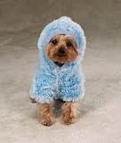 BLUE - XX-SMALL - Ski Bunny Dog Jacket