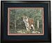 All Products : Auburn Tigers - "Ruler of the Plains" Framed Lithograph By Joe Belt From Sports Marketing Internati