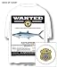 SLAM GEAR KINGFISH WANTED - POCKET T SHIRT WHITE
