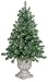 GKI Bethlehem Lighting Pre Lit 4 Foot PVC Christmas Tree in Pot with 150 Clear Mini  , Olympia Pine