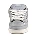 Nike Men's Dunk Low Pro SB Skate Shoe