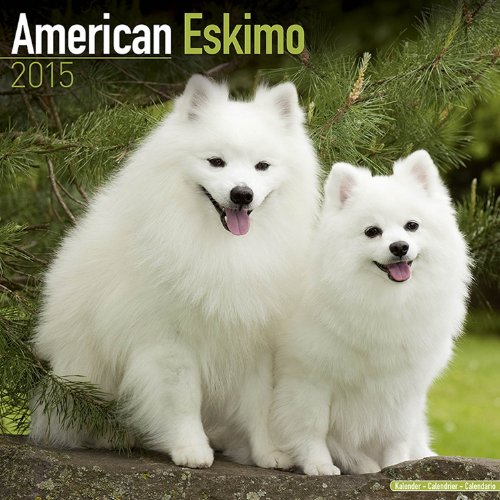 American Eskimo Dog Calendar - Breed Specific American Eskimos Calendar - 2015 Wall calendars - Dog Calendars - Monthly Wall Calendar by Avonside