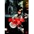 ��J�W���� 60�~60 ����2���� [DVD]