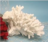 White Coral - Made of Resin - New