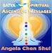 SATYA Spiritual Ascension Messages - December 26, 2010 (Heaven On Earth Spiritual Healing Guidance Series)