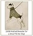 All Products : 1933 Prohibition Era Knitting Pattern - Sweater for a Small Terrier Dog