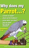Why does my parrot...?