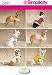 515vwjHmlUL. SL75  Honey Bee Dog Clothing by Kakadu Pet, Small, 12, Yellow