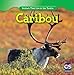Caribou (Animals That Live in the Tundra)