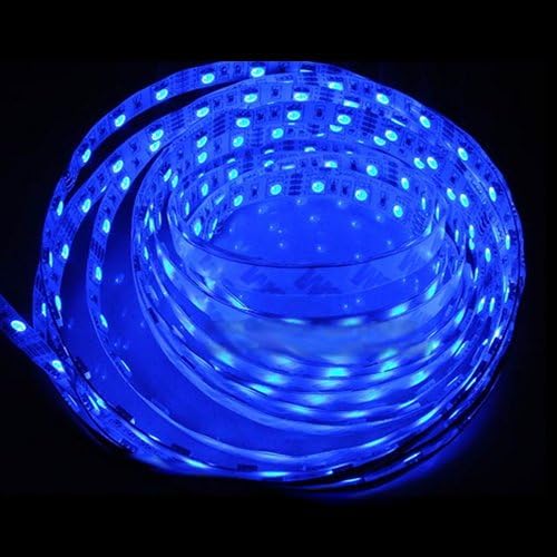 New 12V 5M 300 Leds 60 led/m Waterproof 3528 SMD Flexible LED Strip Lights (Blue, Non-Waterproof)