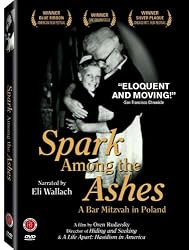 Spark Among the Ashes