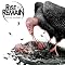 Rise To Remain