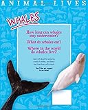 Whales