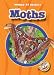 Book Moths (World of Insects)