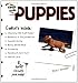 The Simple Guide to Puppies
