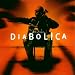 Huschke-Diabolica von Wolfram Huschke - alle Infos