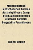 Menschenartige: Menschenaffen, Gorillas, Australopithecus, Orang-Utans, Australopithecus Afarensis, Hominini, Berggorilla, Paranthropu