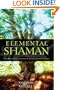 Elemental Shaman: One Man's Journey Into the Heart of Humanity, Spirituality & Ecology