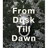 From Dusk Till Dawn