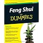 Feng Shui For Dummies by David Daniel Kennedy