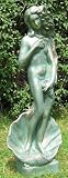 Eigenschaften   / Figur 