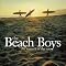 The Beach Boys